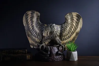 Птенец степного орла | Пикабу