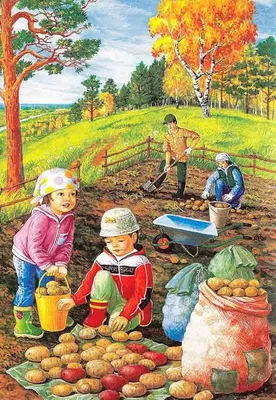 Картинки осень для детей для занятий дома и в садике | Краска, Иллюстрации  арт, Иллюстрации