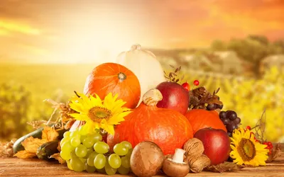 Петербуржцам назвали фрукты и овощи, которые стоит выбирать этой осенью