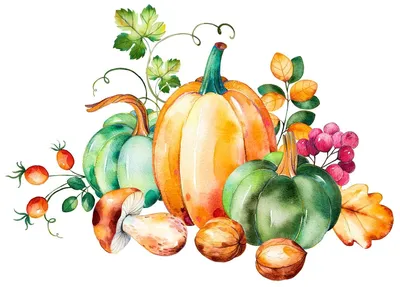 Осень сезонные овощи и фрукты на темном фоне Стоковое Изображение -  изображение насчитывающей хлебоуборка, гайки: 162321805
