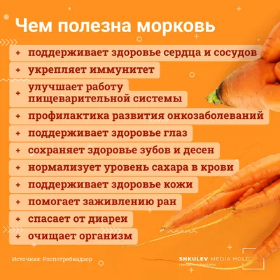 картинки : растение, фрукты, Пища, уборка урожая, производить, Овощной,  Осень, Тыква, Корзинка, время года, овощи, Виноград, Фрукты, Октябрь,  Морковь 3872x2592 - - 1259227 - красивые картинки - PxHere