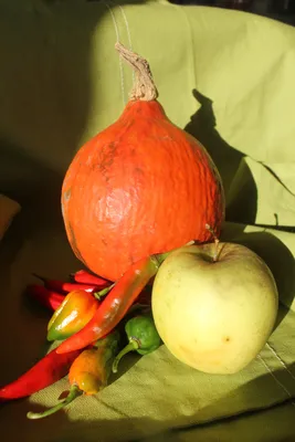 Поделки На Осень Из Овощей И Фруктов - YouTube