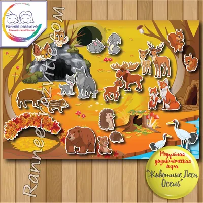 Картинки осень с животными для детей в школу и в детский сад.