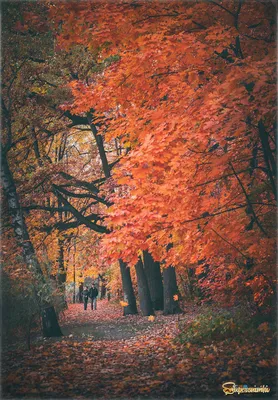 Осень - время романтики | Фотосайт СуперСнимки.Ру