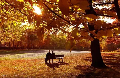 ⬇ Скачать картинки Осень романтика, стоковые фото Осень романтика в хорошем  качестве | Depositphotos