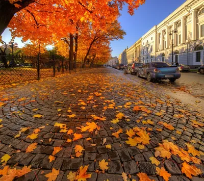 Картинки осень в городе фотографии