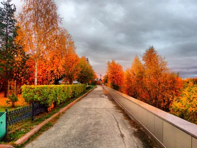 Осень в городе...🍁🍂🌂 | Instagram