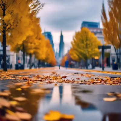 Осень в городе | Город, Политика, Осень
