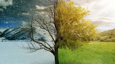 Картинки зима, времена года, Природа, осень, красота - обои 1920x1080,  картинка №34535