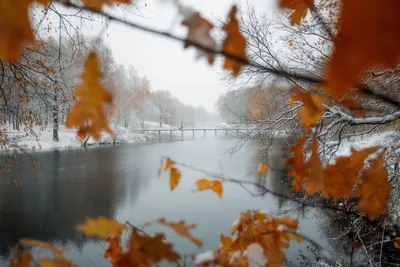 Зима среди людей... и люди средь зимы... больше похохоже на осень, но всё  же... . #природа #лес #зима #деревья #листья #naturelover… | Instagram