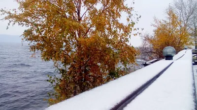 Зимняя осень в Москве. Зима-осень. | Сообщество «Природа, пейзажи и погода»  | Для мам