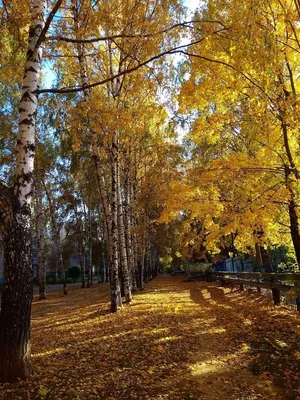 Осень - Зима Байкал | Пикабу