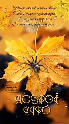 Золотая осень и добрые пожелания. | Лена М. В гостях у мышки ) | Дзен