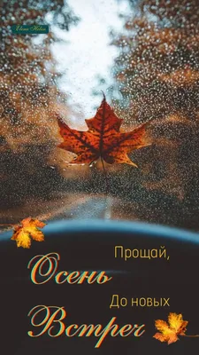 Картина маслом \"Золотая осень\" Дельцов