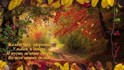 Золотая осень открытки красивые - 63 фото