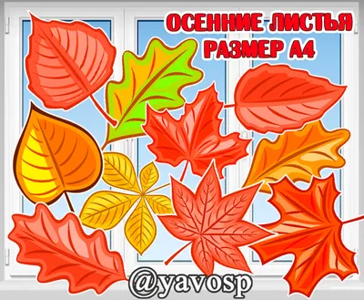 плакат на стену времена года осень для школы и детского сада ТМ Империя  поздравлений 36354772 купить за 111 ₽ в интернет-магазине Wildberries