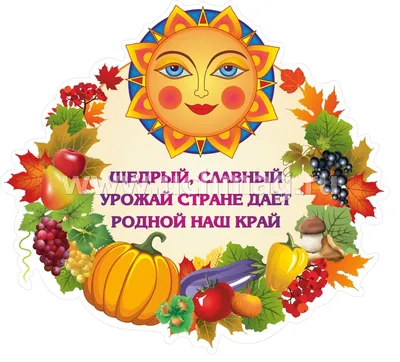 Детский сад № 8 Колпинского района Санкт-Петербурга