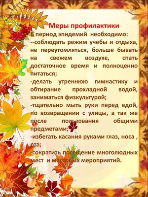 Детский сад № 8 Колпинского района Санкт-Петербурга