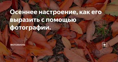 Осеннее настроение\", автор Мельникова Марина Ивановна