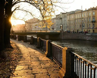 Чем заняться осенью в Петербурге - лучшие места для осенней прогулки