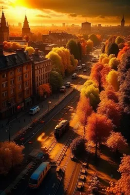 Осенний город | Fall colors, Fall, Bountiful harvest