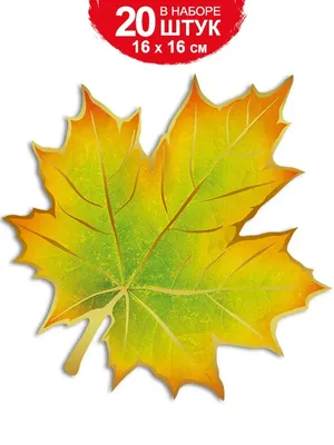 плакат на стену набор осенние листья кленовый лист для школы ТМ Империя  поздравлений 33334377 купить за 199 ₽ в интернет-магазине Wildberries