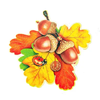 Украшения на 1 сентября - листья дуба и желуди на скотче А-113-465 - купить  в интернет-магазине Вуаль по цене 19 руб.
