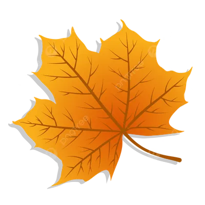 осенний лист с эстетической градацией цвета вектор PNG , осень, Осенние  листья, лист PNG картинки и пнг рисунок для бесплатной загрузки