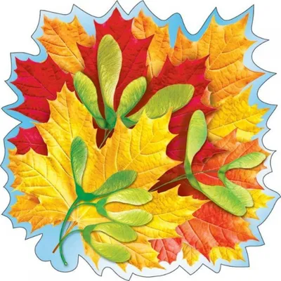 Картинки осенние листья для оформления - 50 фото
