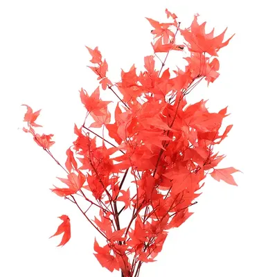 Осенние листья, искусственные листья для украшения, искусственный клен,  фотоэлемент для свадеб на День Благодарения | AliExpress