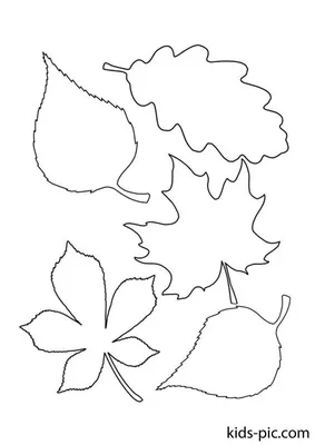 Шаблоны Осенних Листьев Для Вырезания | Kids-Pic.com | Leaf template, Fall  leaf template, Autumn leaves