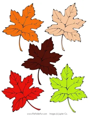 Осенние листья из бумаги шаблоны - 65 фото