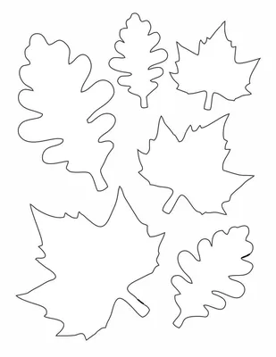 Шаблоны для оформления «Осенние листья» – распечатать PDF