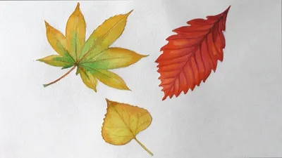 Осенние листья из бумаги: 50 идей с фото