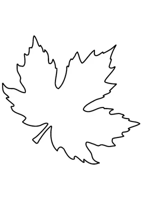Листья осенние рисунок карандашом - 70 фото