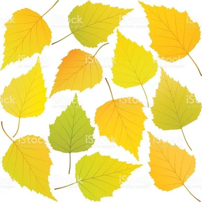 Осенних листьев для вырезания - 52 картинки