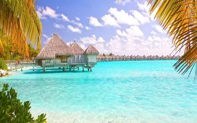 Всё о Багамских островах: что посмотреть, куда сходить, как добраться.