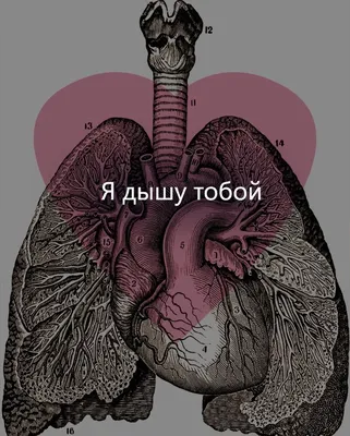 Валентинка с Днём святого Валентина 5х8 см | Открытки и конверты для денег  | Arbuz.kz