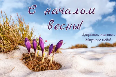 1 марта первый день весны - красивые картинки, поздравления, открытки