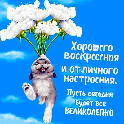 ВОСКРЕСЕНЬЕ! 🌸🦋🌿🌺💐🦋🌸 ДОБРОЕ УТРО! 🍒 УДАЧНОГО ДНЯ! 🍒 | Открытки,  Воскресенье, Утро воскресенья