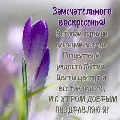 Открытка доброе утро, отличного воскресенья - GreetCard.ru