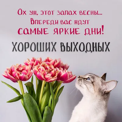 Отличных выходных! | Выходные, Открытки, Доброе утро