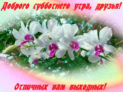 Отличных выходных! — Дневник добрых дел