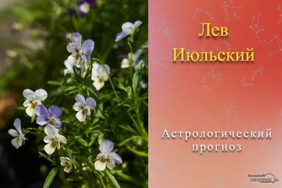 На календаре - лето, начинается активный отпускной сезон! - Лента новостей  Крыма