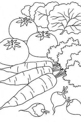 Вкусная Азбука. Книжка раскраска для детей от 2х лет. 76 уникальных фруктов  и овощей для раскрашивания.: Or Bust, Universe: 9798834796053: Amazon.com:  Books