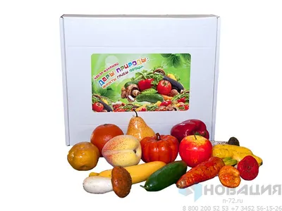 Овощи и фрукты, вектор фон Stock Illustration | Adobe Stock