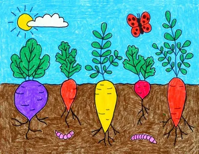 куча фруктов и овощей на этом рисунке, картинка с фруктами раскрасить,  фрукты, еда фон картинки и Фото для бесплатной загрузки