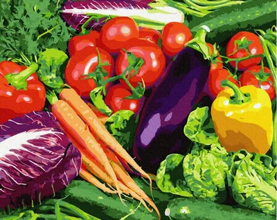 Раскраска Овощи с огорода | Раскраски , рисунки и картинки овощей