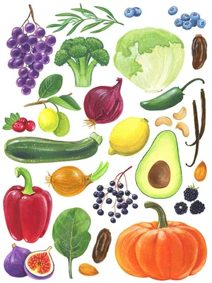 Овощи и фрукты, вектор фон Иллюстрация Stock | Adobe Stock
