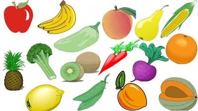 Конспект занятия по рисованию в подготовительной группе «Овощи и фрукты» (9  фото). Воспитателям детских садов, школьным учителям и педагогам - Маам.ру